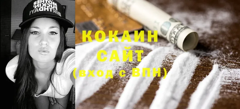 Cocaine FishScale  где найти   Малаховка 