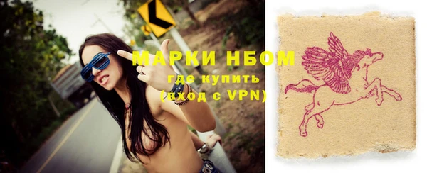 шишки Надым