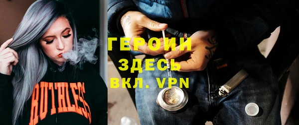 шишки Надым