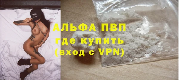 спиды Нефтекумск