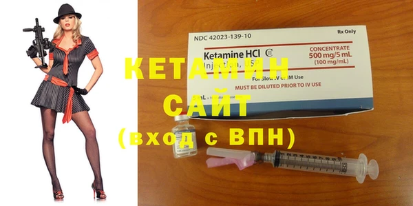 шишки Надым