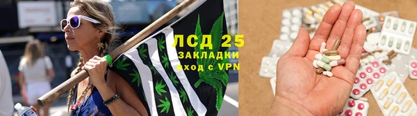 шишки Надым