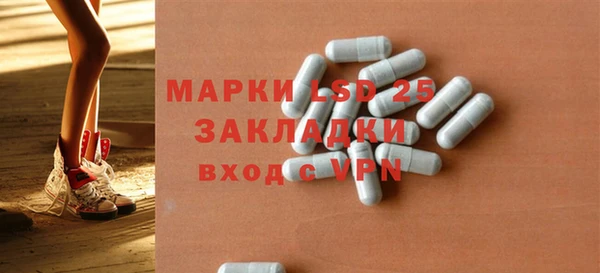 шишки Надым