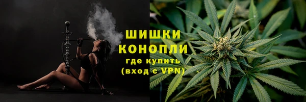 шишки Надым