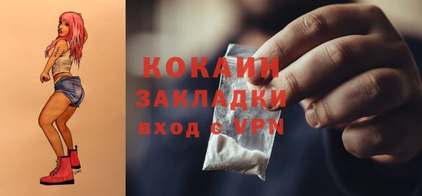 шишки Надым