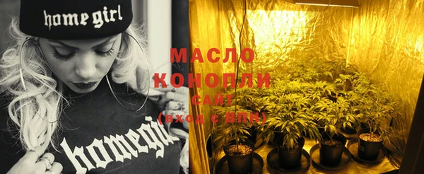 шишки Надым