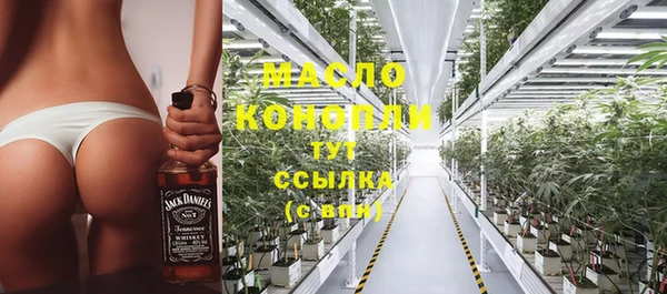 шишки Надым