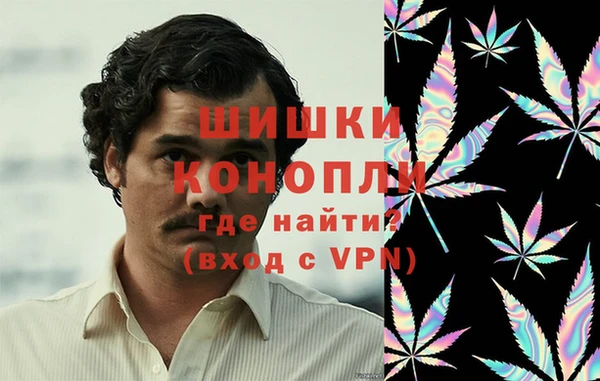 шишки Надым