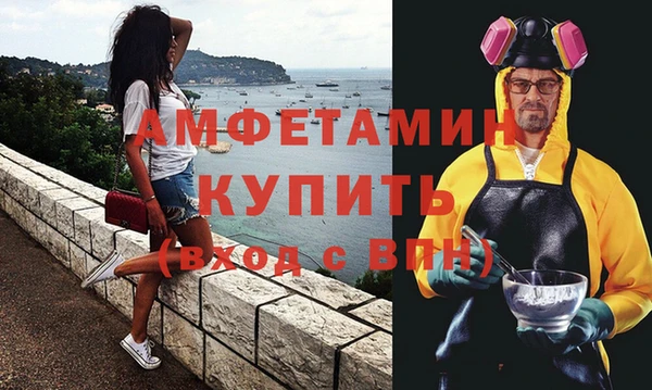 шишки Надым