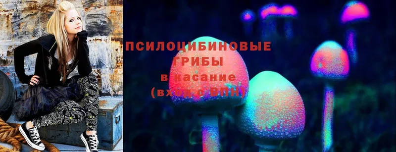 где купить наркоту  кракен онион  Галлюциногенные грибы прущие грибы  Малаховка 